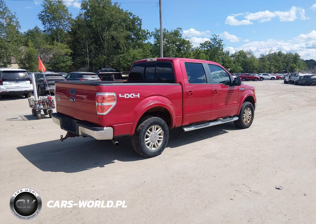 2009 Ford F-150 Fx4-King Ranch-Lariat-Platinum-Xl-Xlt VIN:1FTPW14V69FB01806 - 4