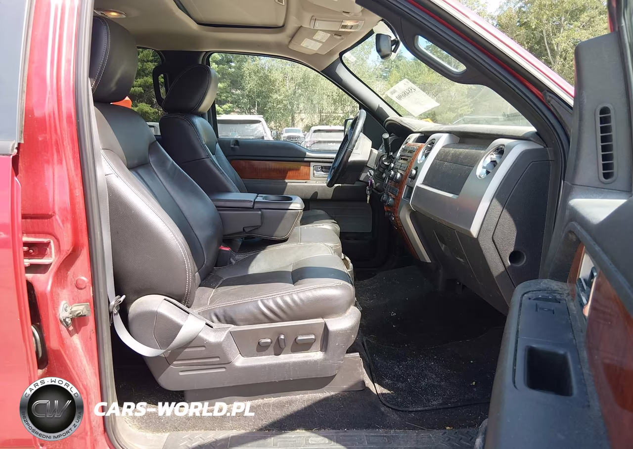 2009 Ford F-150 Fx4-King Ranch-Lariat-Platinum-Xl-Xlt VIN:1FTPW14V69FB01806 - 5