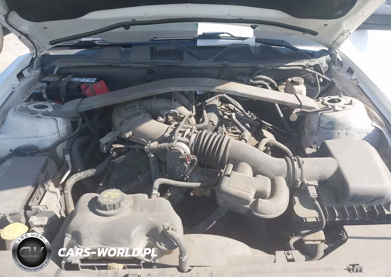 2012 Ford Mustang V6 VIN:1ZVBP8EM5C5222391 - 10