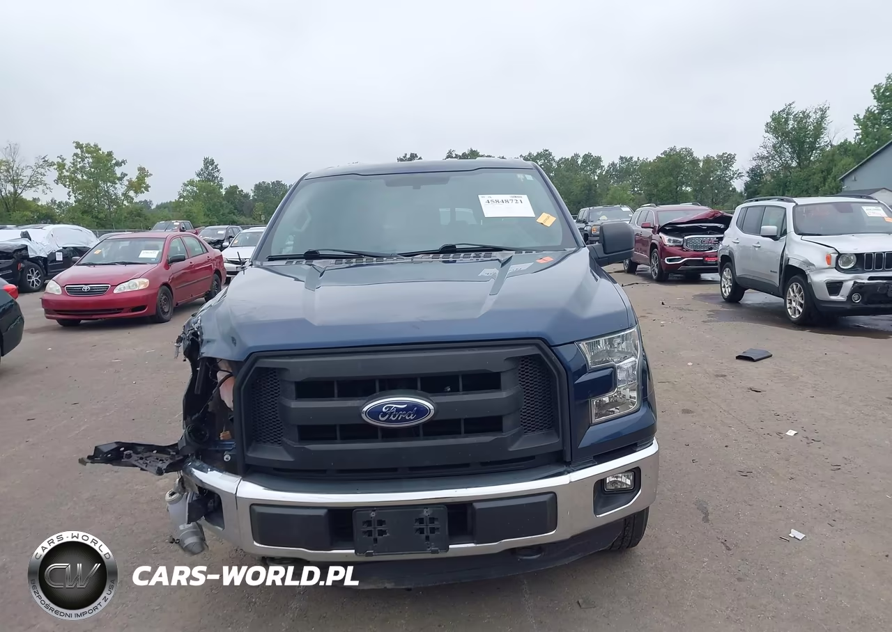 2015 Ford F-150 Xl VIN:1FTEX1EP7FFC89963 - 12