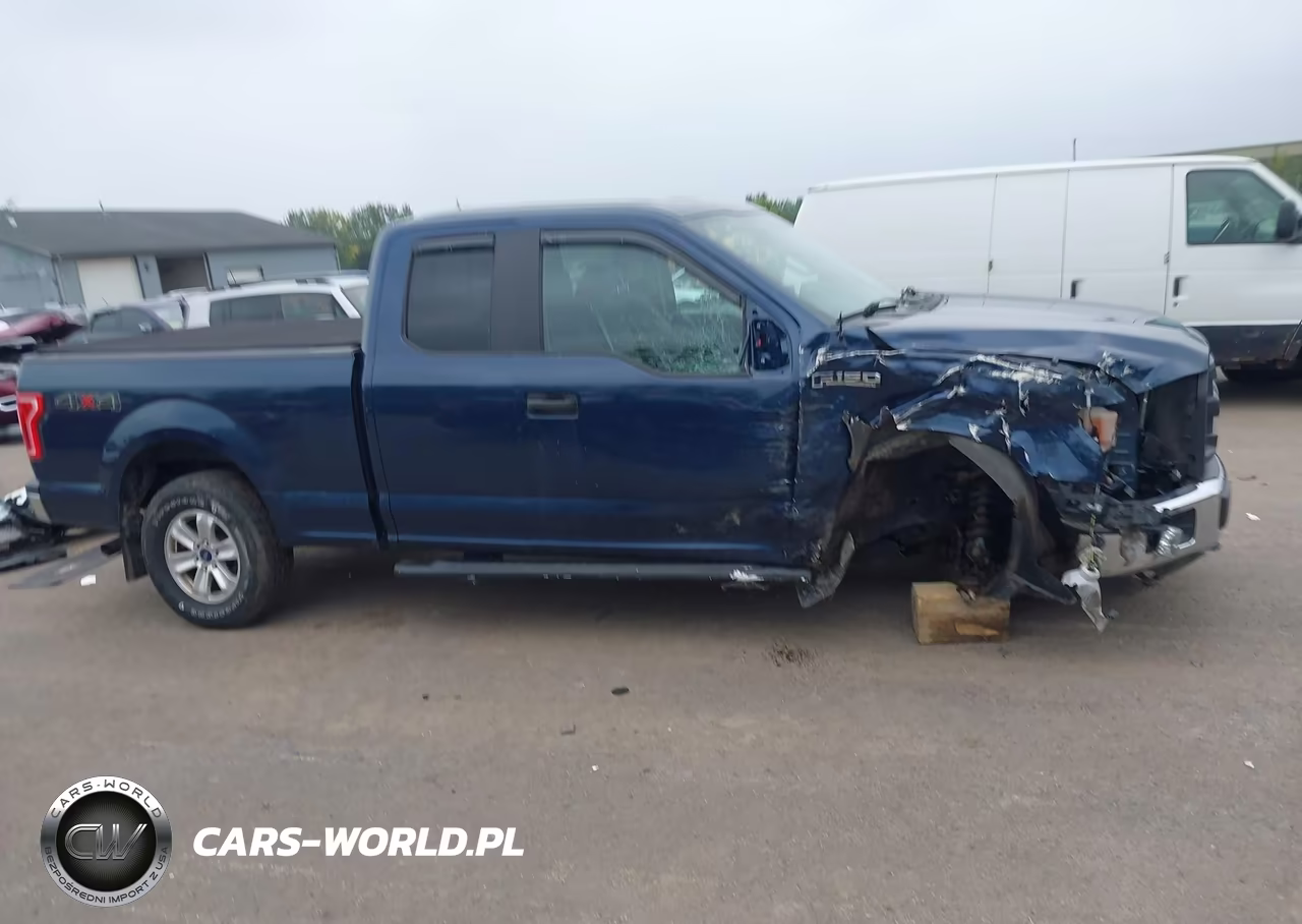 2015 Ford F-150 Xl VIN:1FTEX1EP7FFC89963 - 13