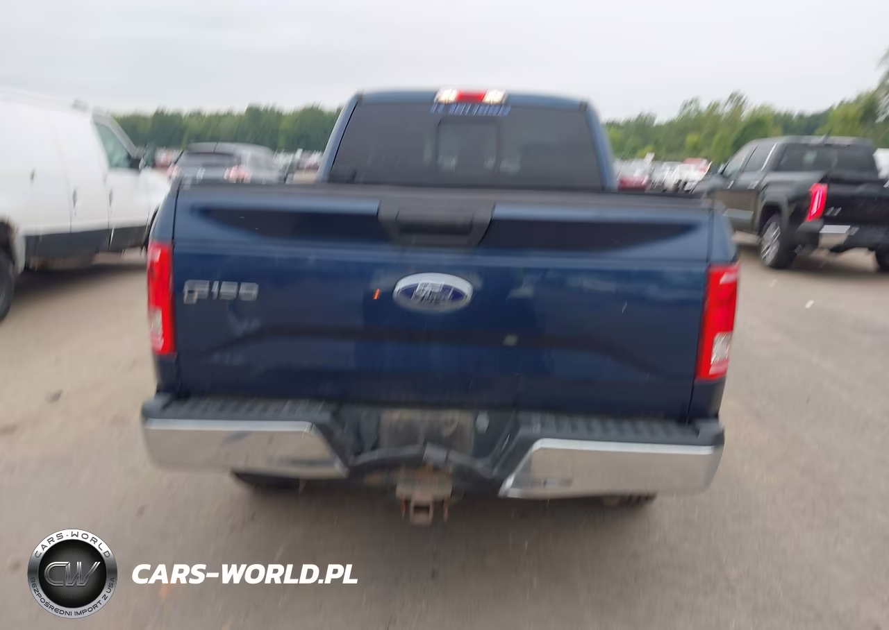 2015 Ford F-150 Xl VIN:1FTEX1EP7FFC89963 - 16