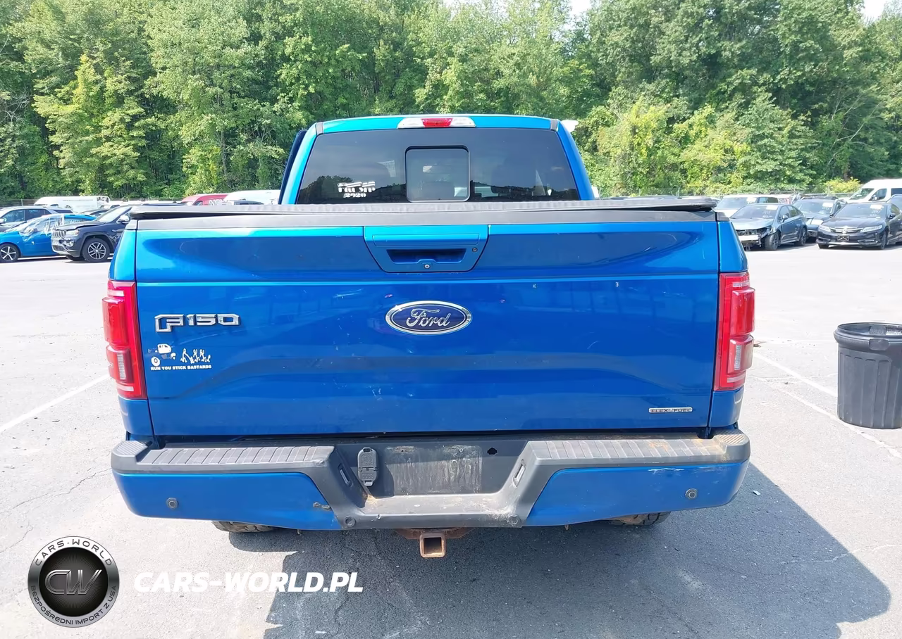 2015 Ford F-150 Lariat VIN:1FTFX1EF0FFA37063 - 17