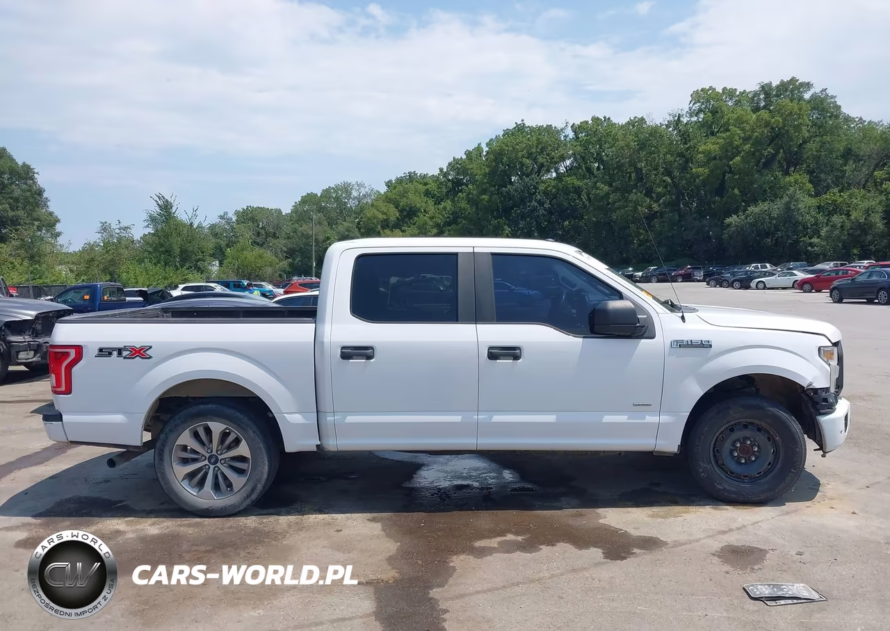 2017 Ford F-150 Xl VIN:1FTEW1CP2HKE49232 - 13