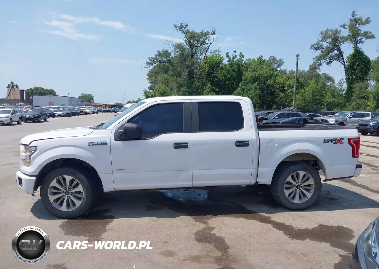 2017 Ford F-150 Xl VIN:1FTEW1CP2HKE49232 - 14