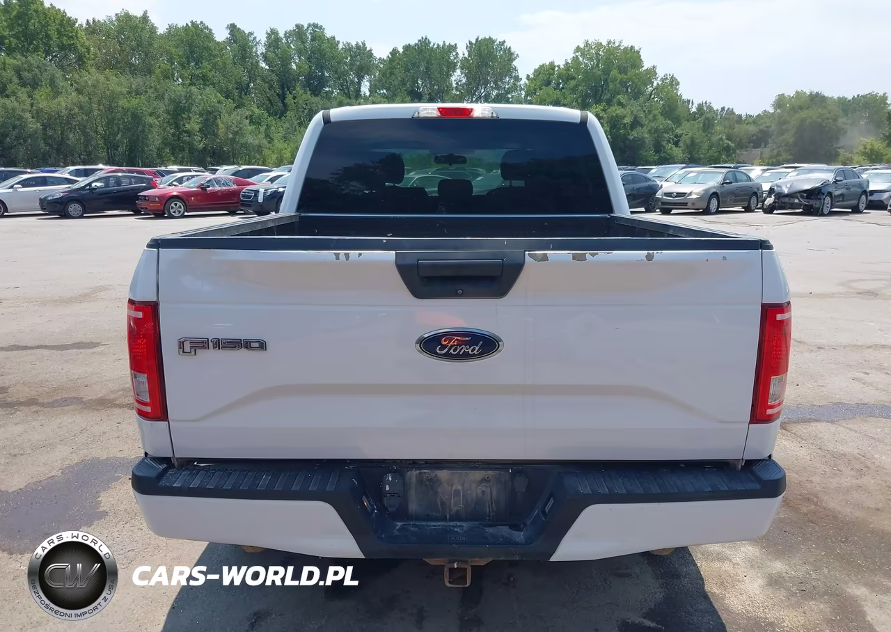 2017 Ford F-150 Xl VIN:1FTEW1CP2HKE49232 - 16