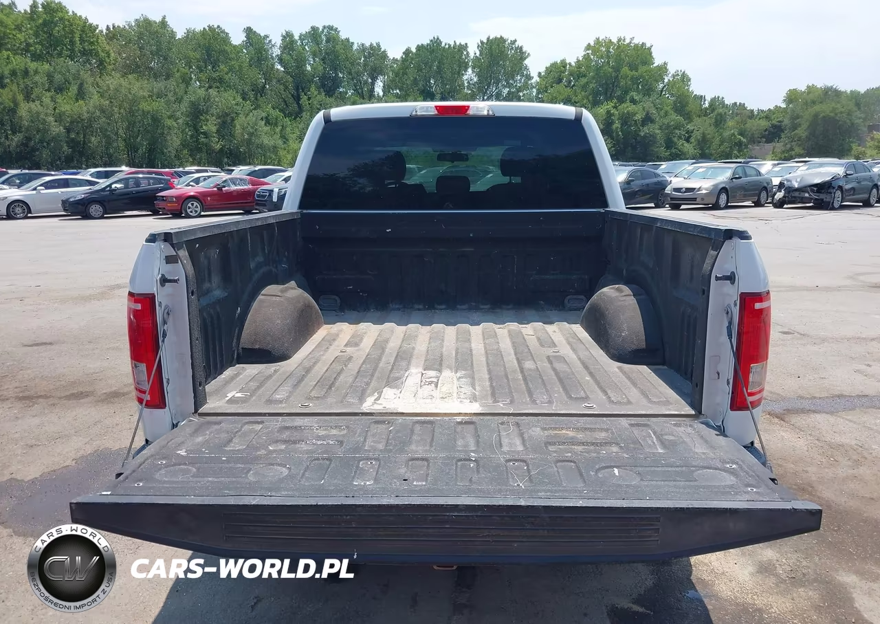 2017 Ford F-150 Xl VIN:1FTEW1CP2HKE49232 - 17