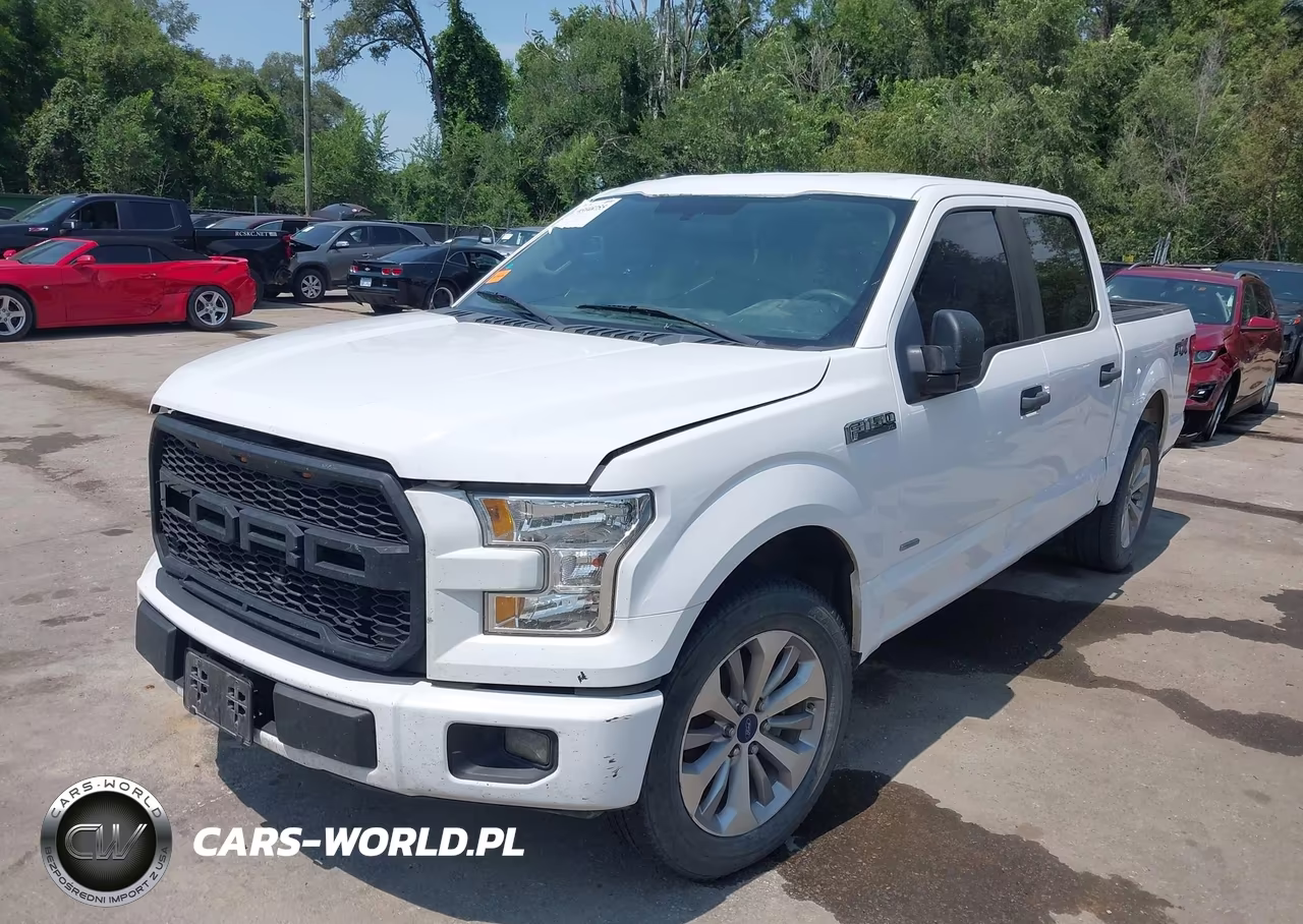 2017 Ford F-150 Xl VIN:1FTEW1CP2HKE49232 - 2