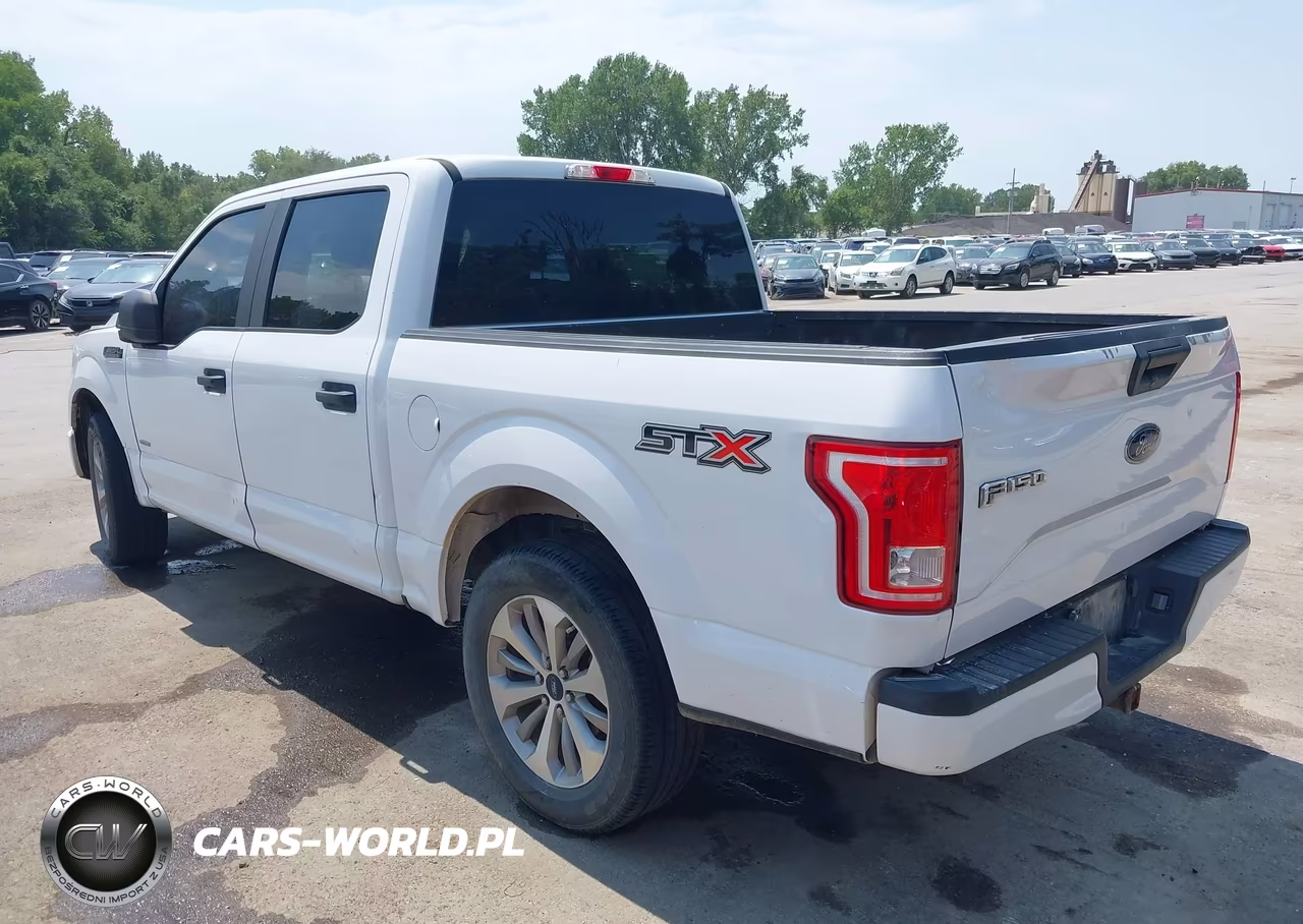 2017 Ford F-150 Xl VIN:1FTEW1CP2HKE49232 - 3