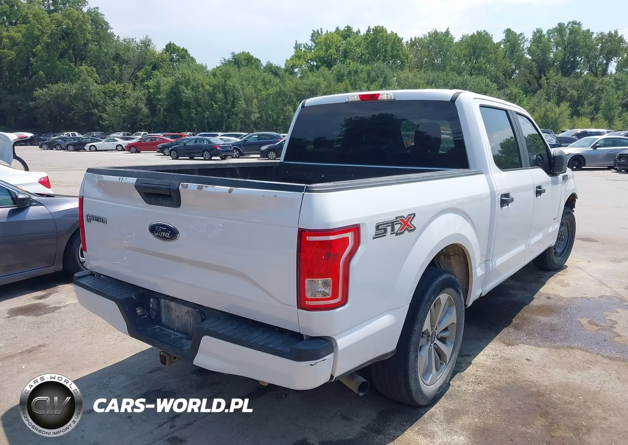 2017 Ford F-150 Xl VIN:1FTEW1CP2HKE49232 - 4