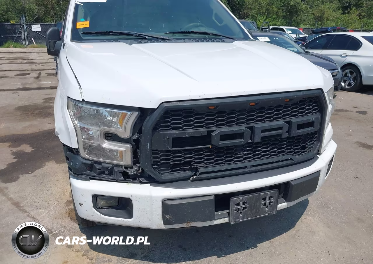 2017 Ford F-150 Xl VIN:1FTEW1CP2HKE49232 - 6
