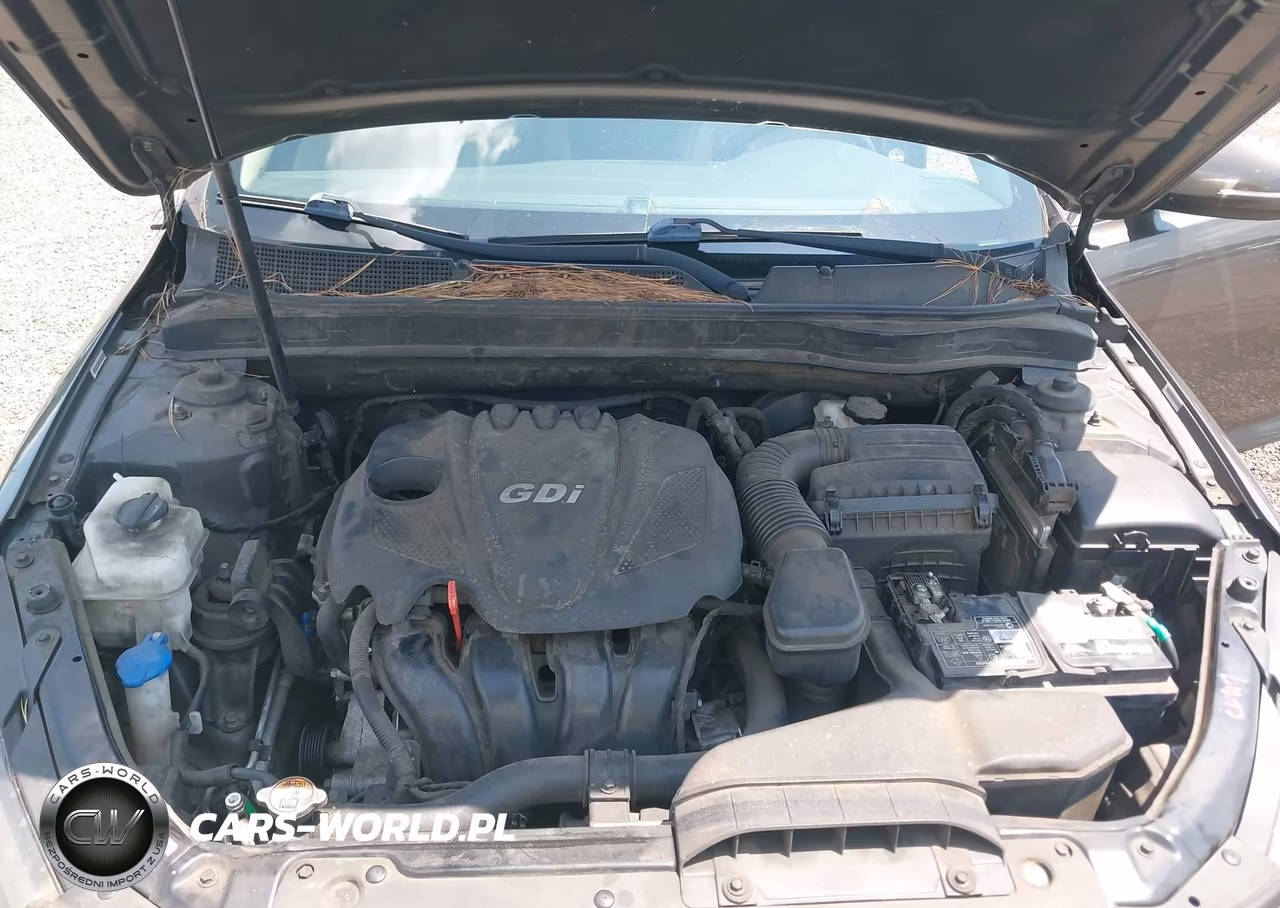 2015 Kia Optima Lx VIN:5XXGM4A75FG375444 - 10