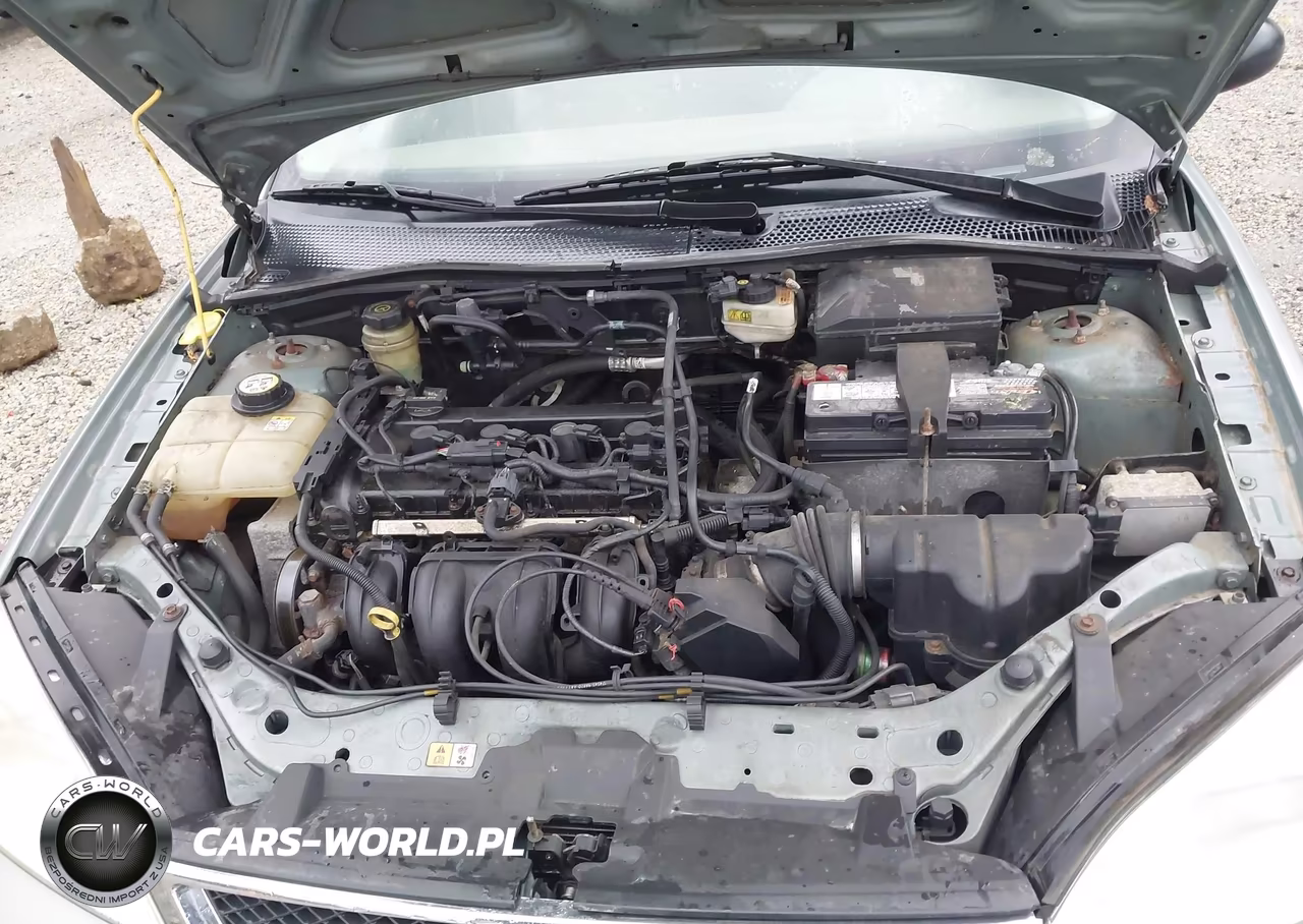 2006 Ford Focus Zxw VIN:1FAFP36NX6W102217 - 10