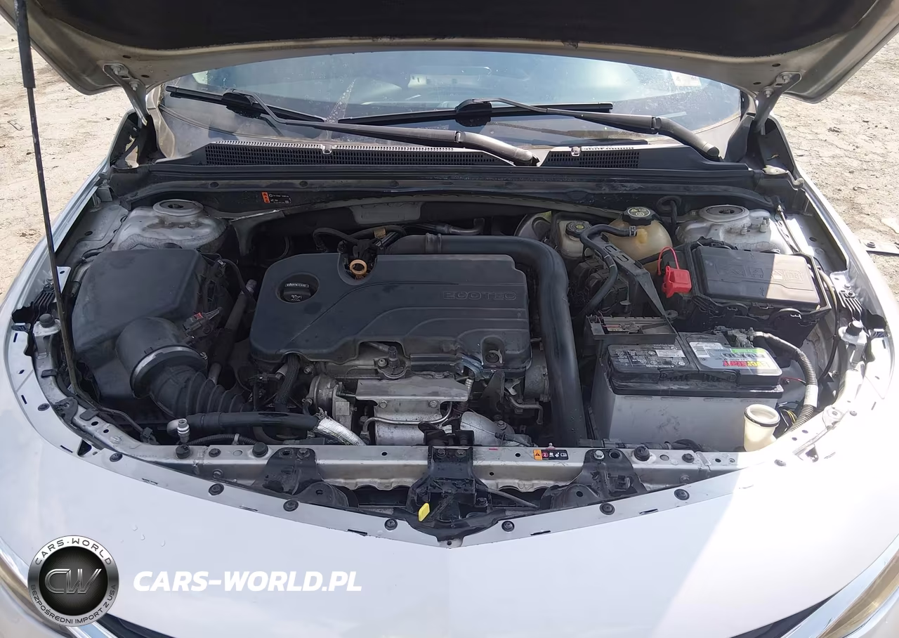 2019 Chevrolet Malibu Lt VIN:1G1ZD5ST0KF143636 - 10