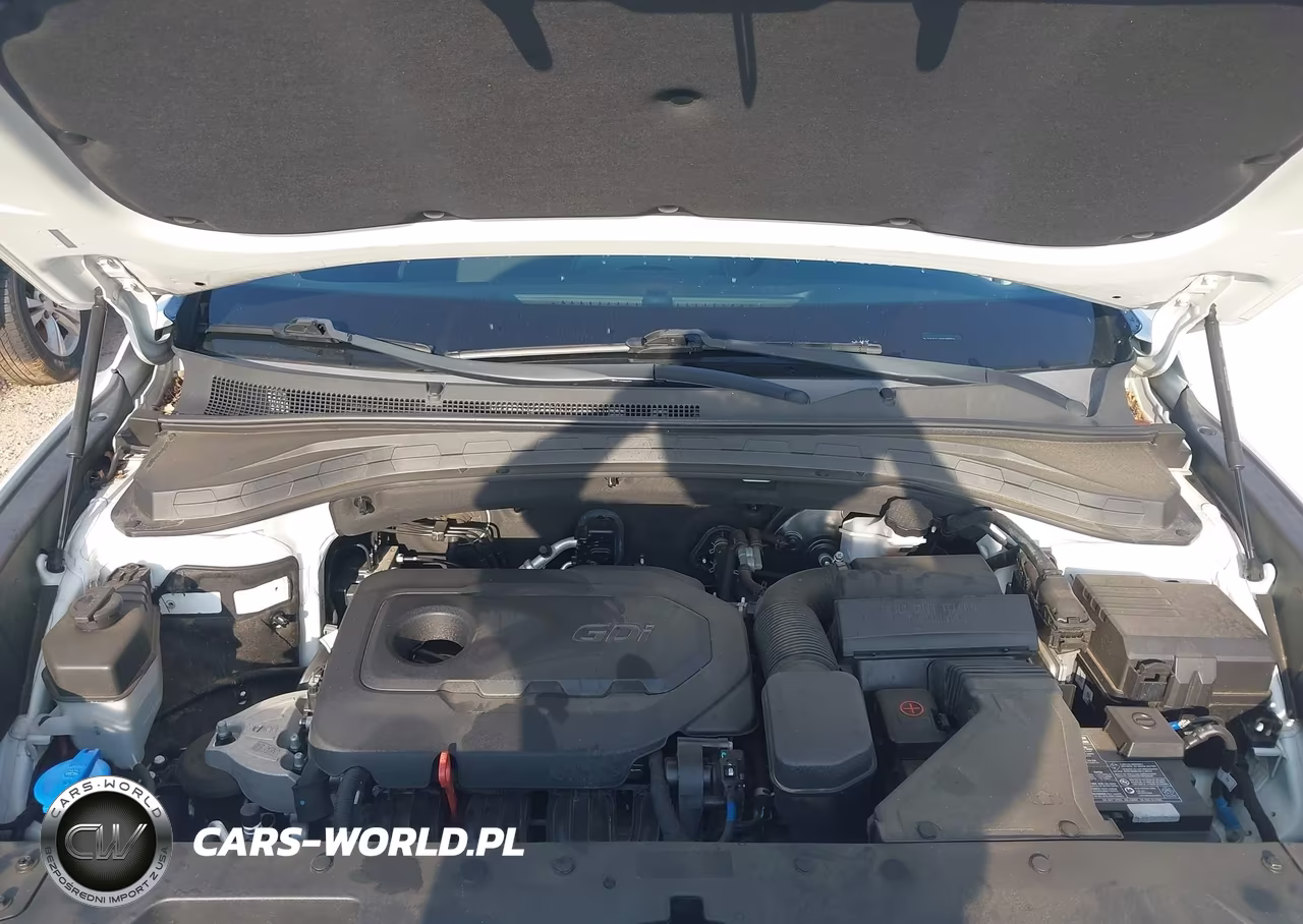 2019 Hyundai Santa Fe Se VIN:5NMS2CAD0KH130546 - 10