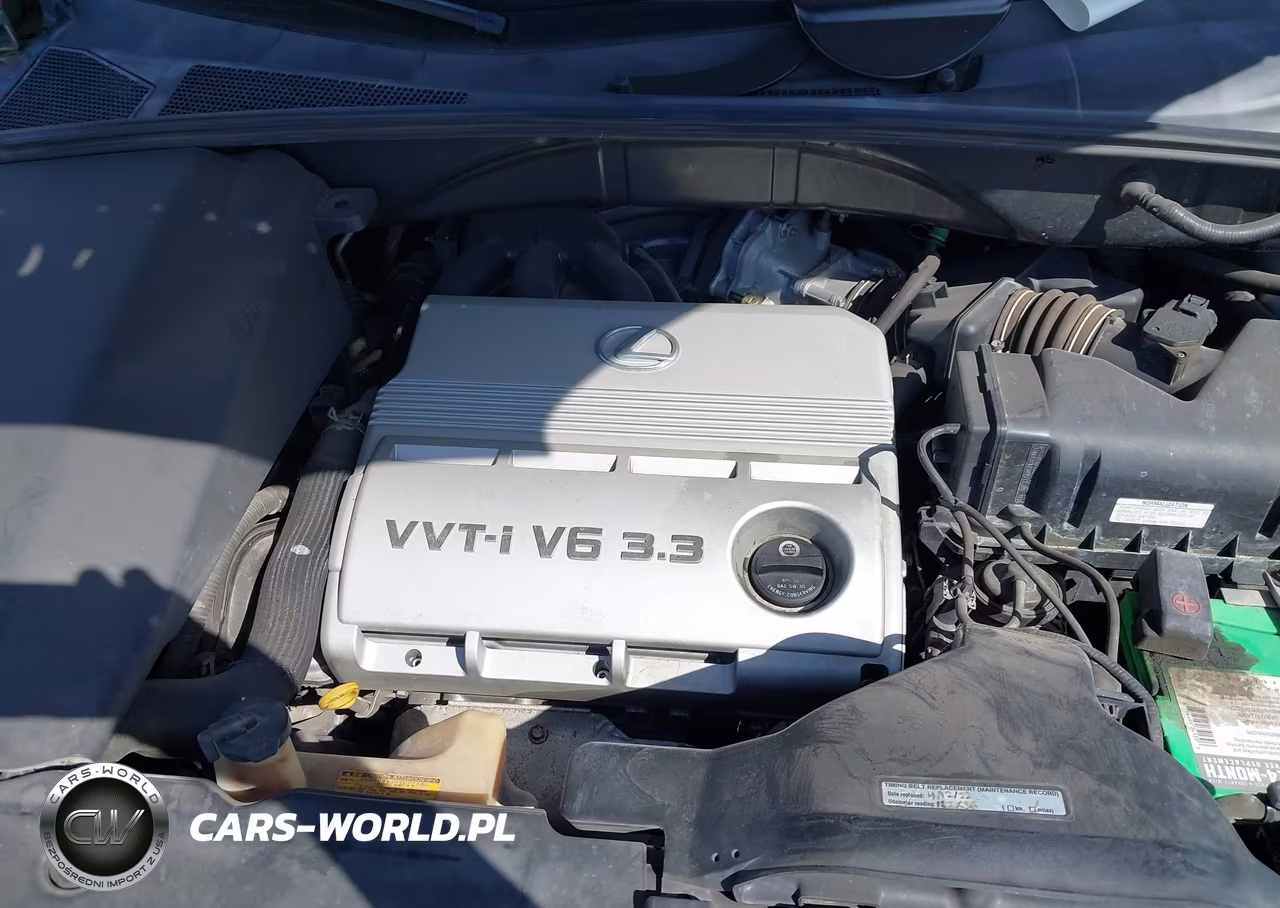 2006 Lexus Rx 330 VIN:JTJGA31U360060231 - 10