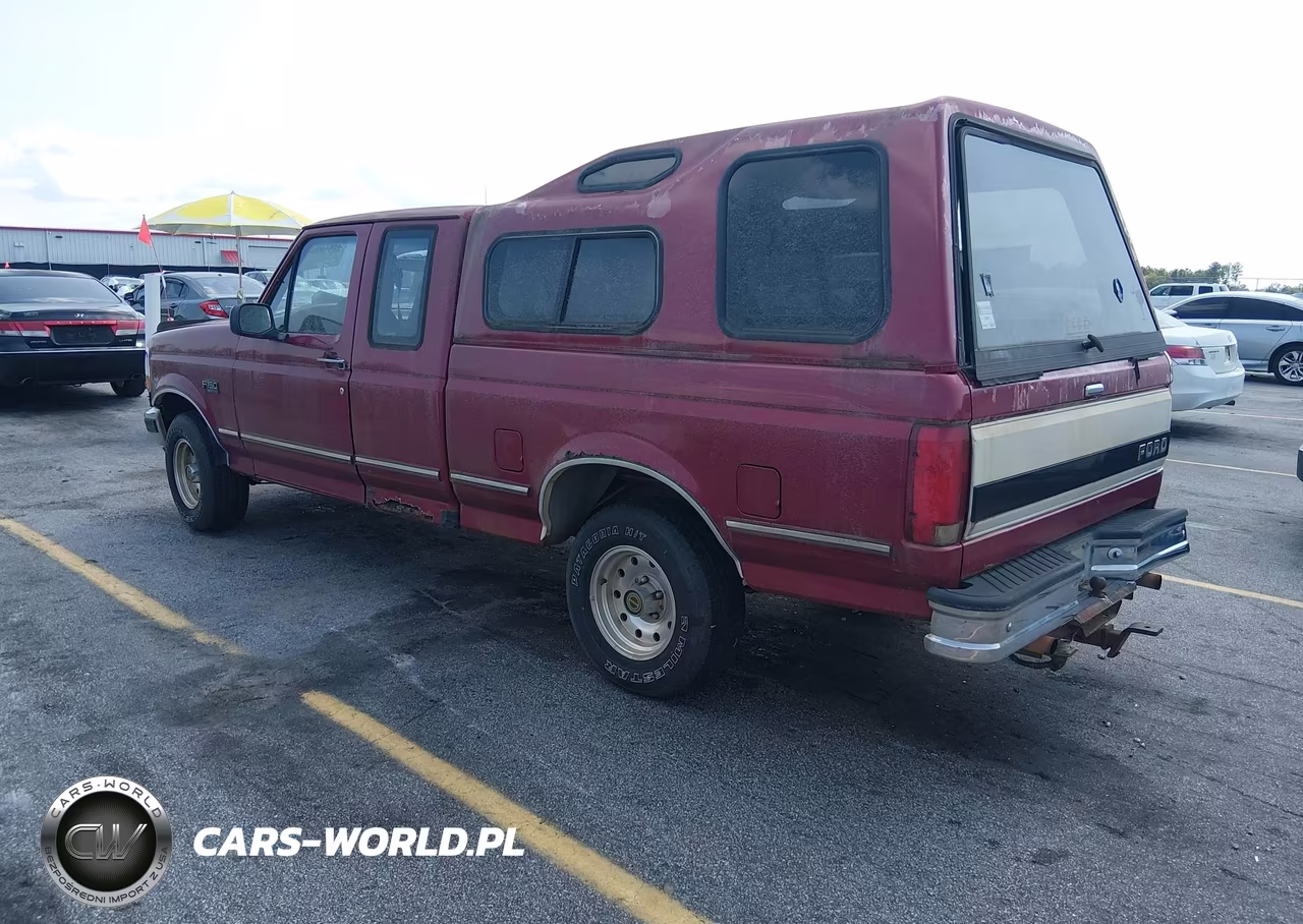 1995 Ford F150 VIN:1FTEX15NXSKA33638 - 3