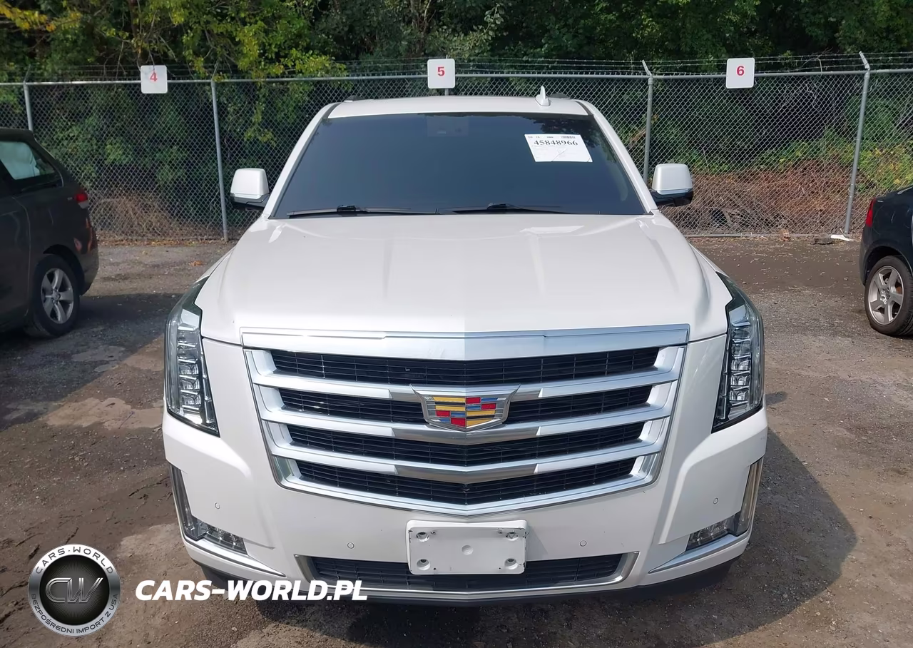 2018 Cadillac Escalade Esv Luxury VIN:1GYS4HKJ2JR124781 - 12