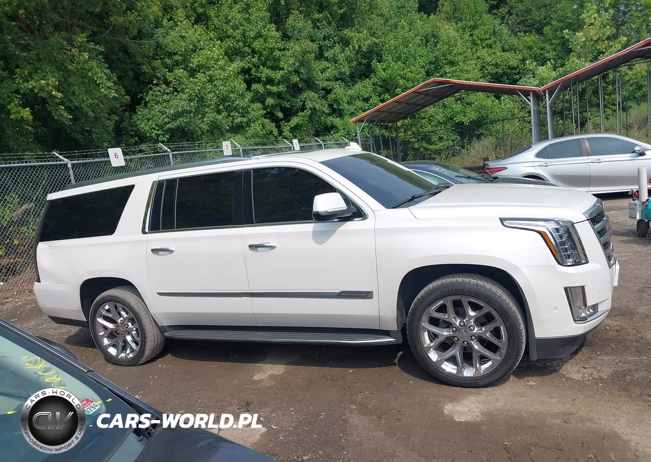 2018 Cadillac Escalade Esv Luxury VIN:1GYS4HKJ2JR124781 - 13