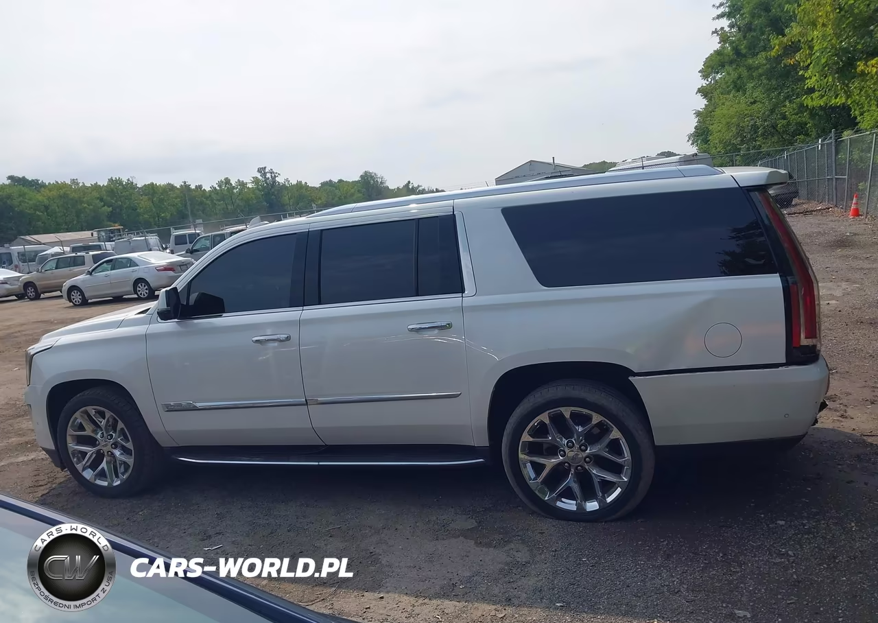 2018 Cadillac Escalade Esv Luxury VIN:1GYS4HKJ2JR124781 - 14