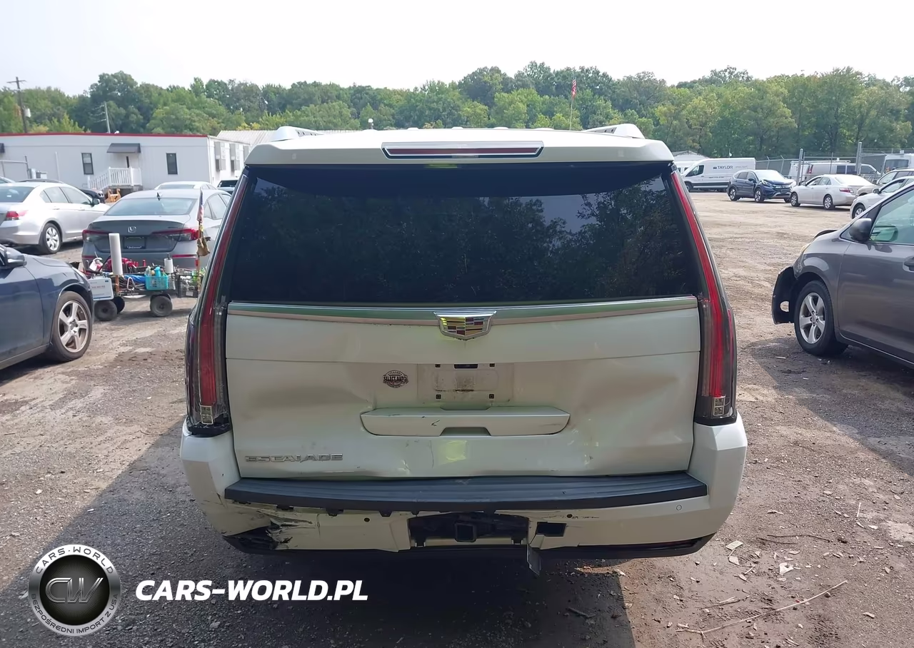 2018 Cadillac Escalade Esv Luxury VIN:1GYS4HKJ2JR124781 - 16