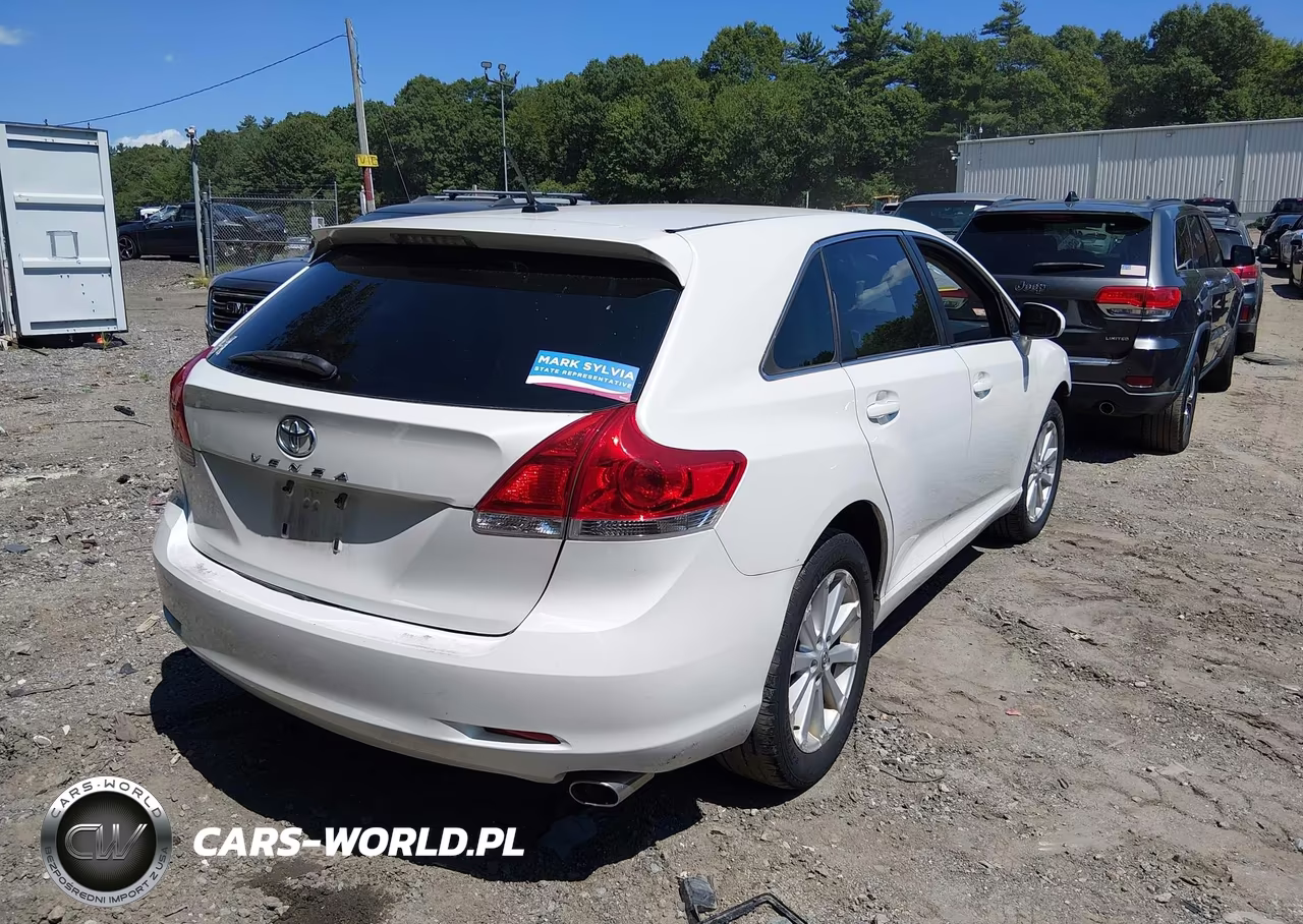2009 Toyota Venza VIN:4T3ZE11A59U006679 - 4