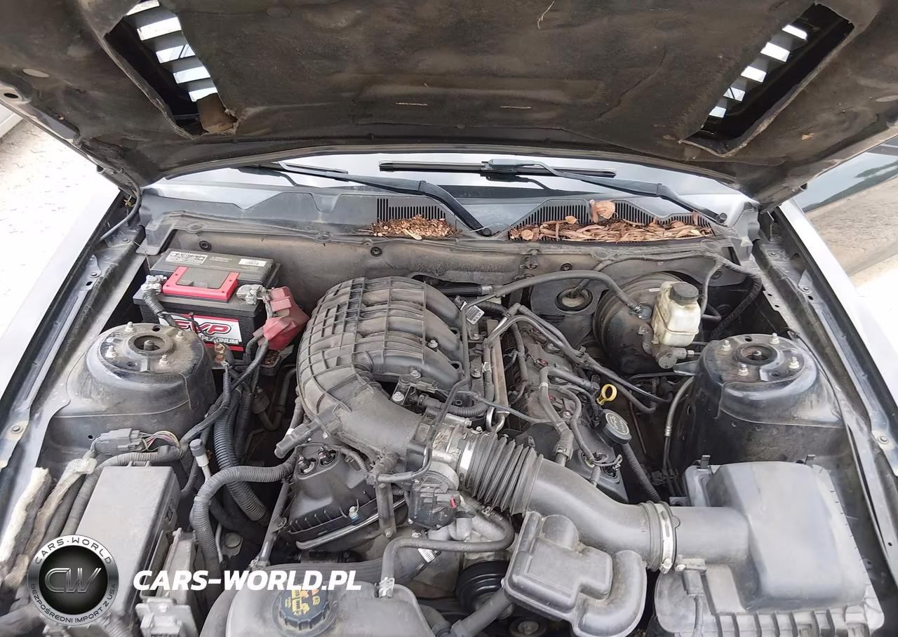 2014 Ford Mustang V6 VIN:1ZVBP8AM0E5282698 - 10