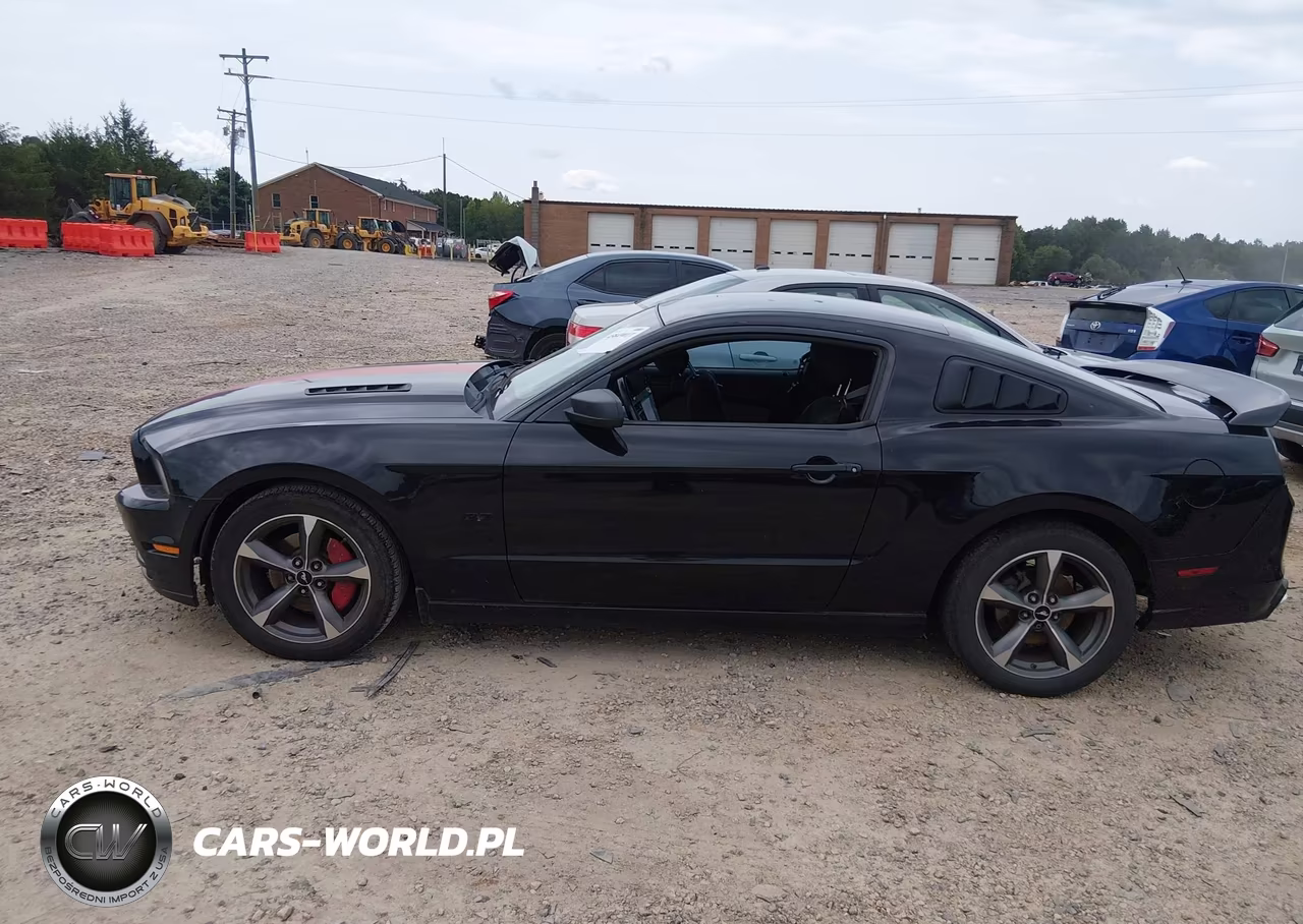 2014 Ford Mustang V6 VIN:1ZVBP8AM0E5282698 - 14