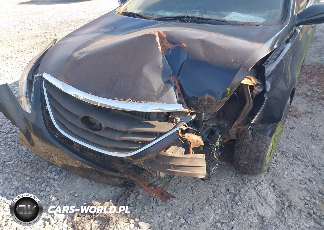 2013 Hyundai Sonata Gls VIN:5NPEB4AC9DH627479 - 6