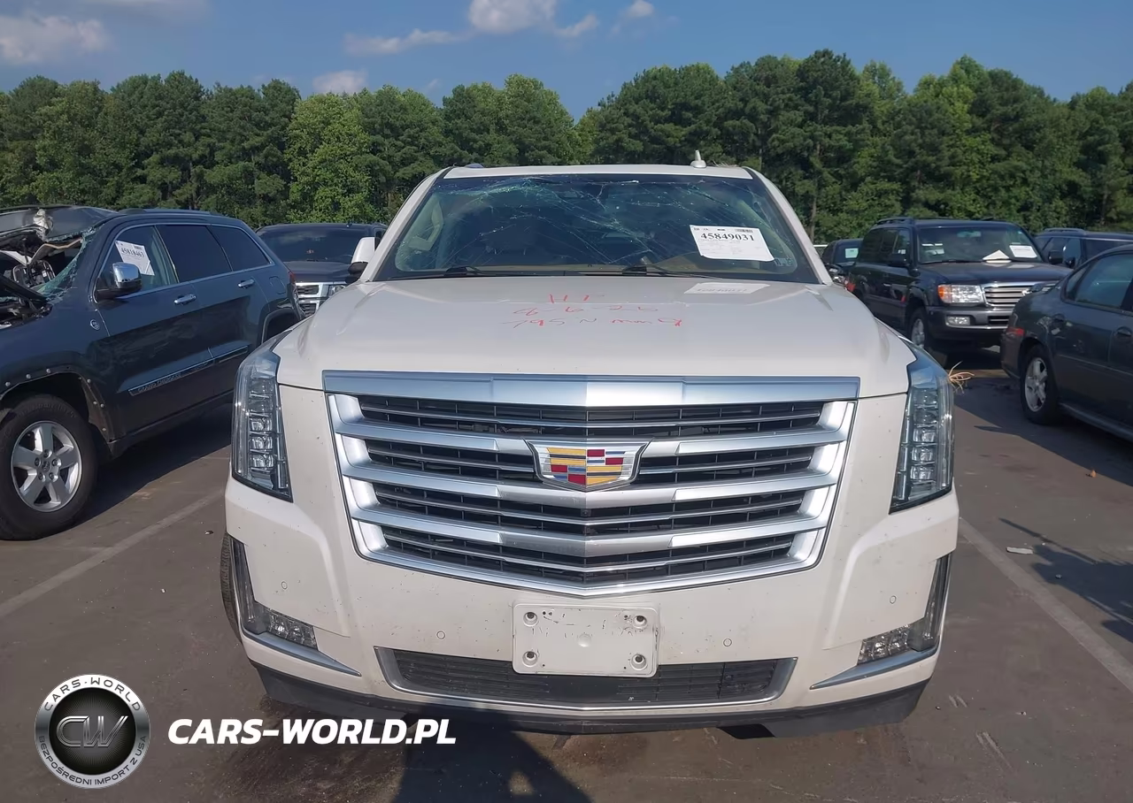 2016 Cadillac Escalade Platinum VIN:1GYS4DKJ1GR345015 - 12