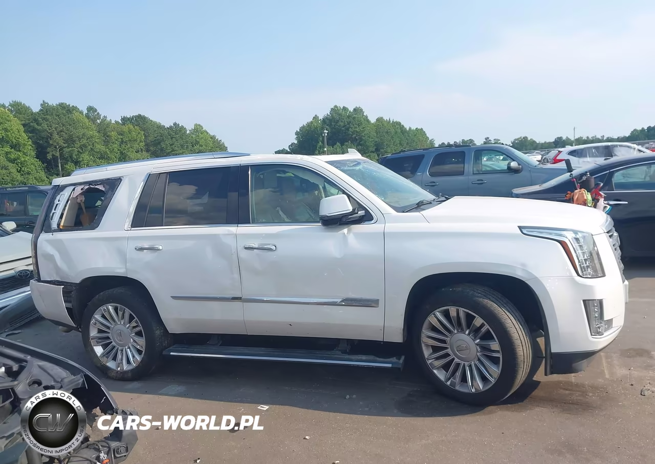 2016 Cadillac Escalade Platinum VIN:1GYS4DKJ1GR345015 - 13
