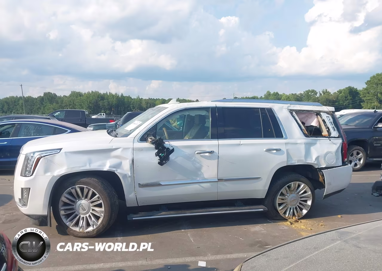 2016 Cadillac Escalade Platinum VIN:1GYS4DKJ1GR345015 - 14