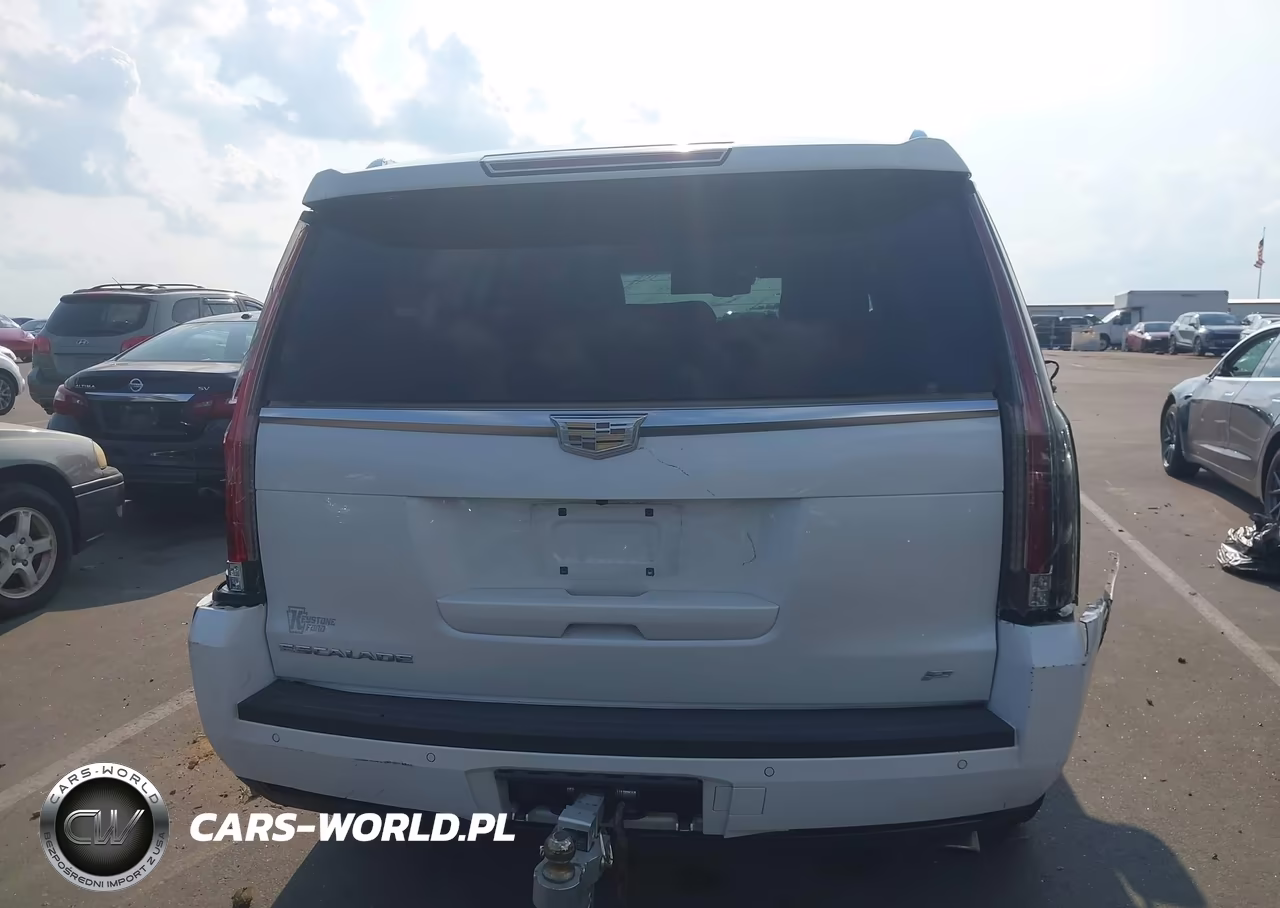 2016 Cadillac Escalade Platinum VIN:1GYS4DKJ1GR345015 - 16