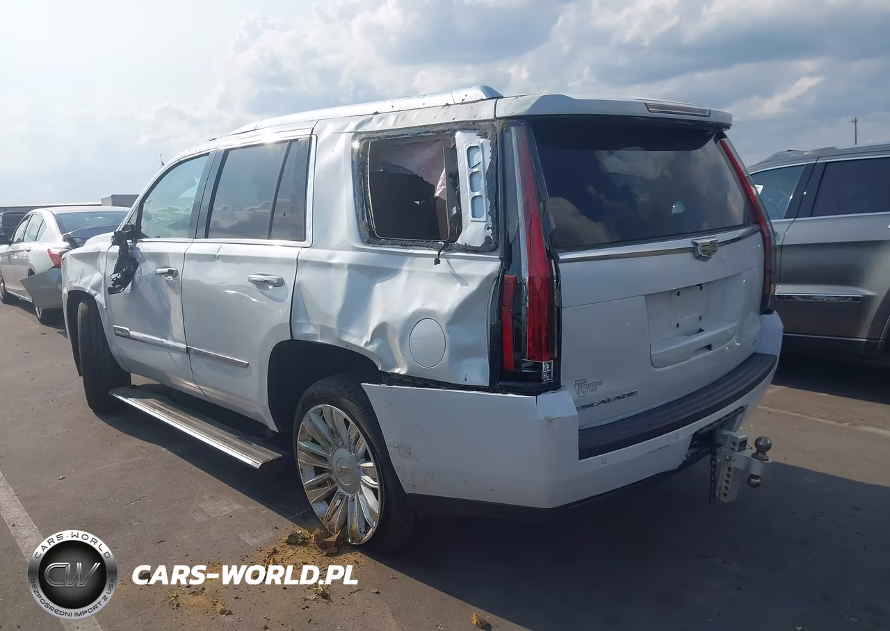 2016 Cadillac Escalade Platinum VIN:1GYS4DKJ1GR345015 - 3