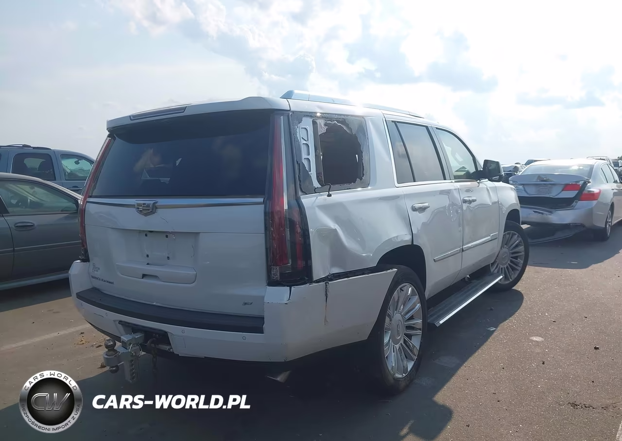 2016 Cadillac Escalade Platinum VIN:1GYS4DKJ1GR345015 - 4