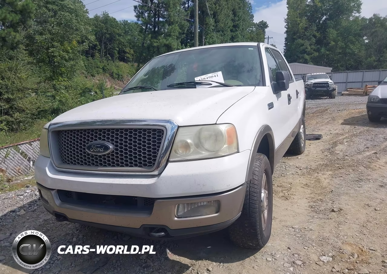 2004 Ford F-150 Fx4-Lariat-Xlt VIN:1FTPW14544KD64246 - 2