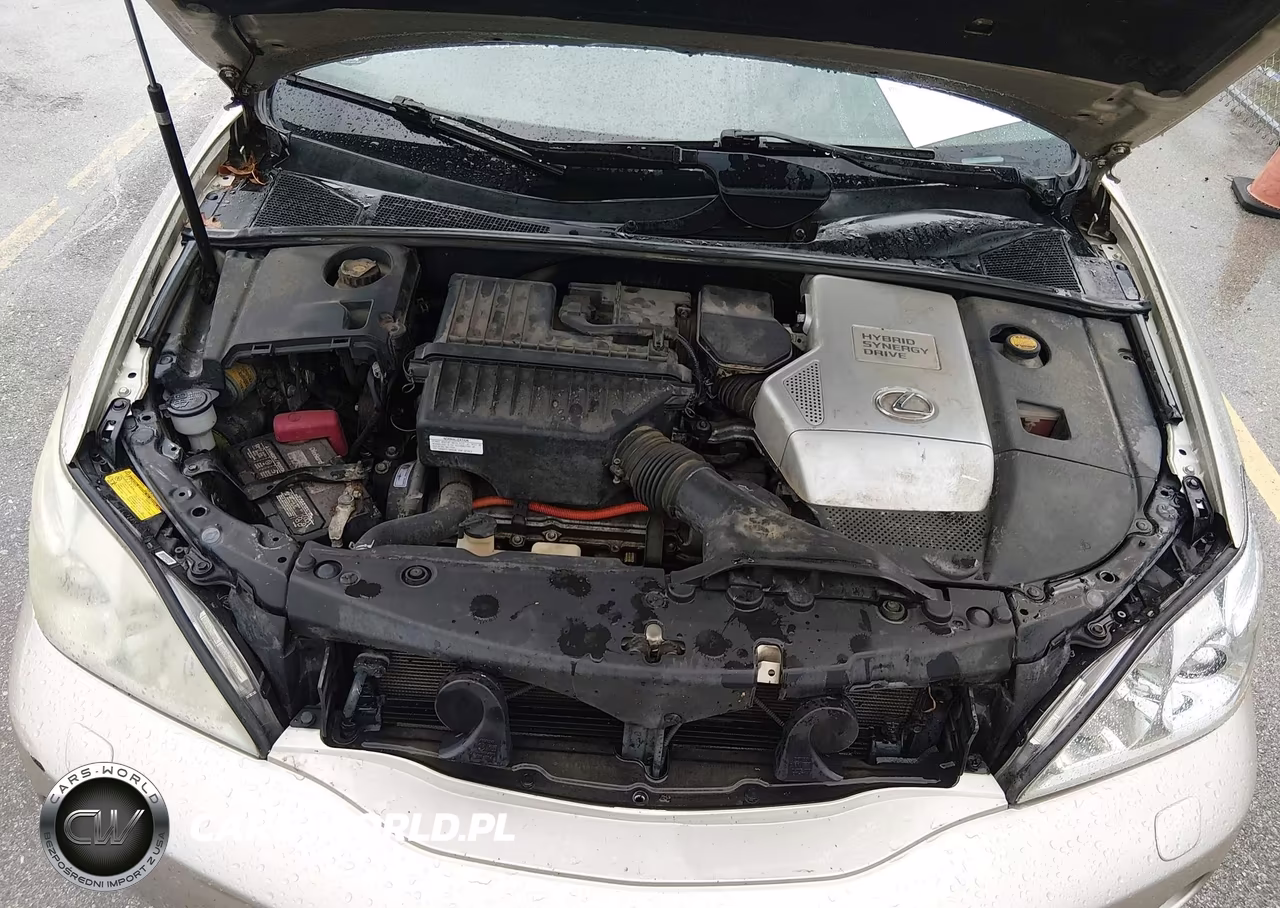 2006 Lexus Rx 400H VIN:JTJHW31U360040339 - 10