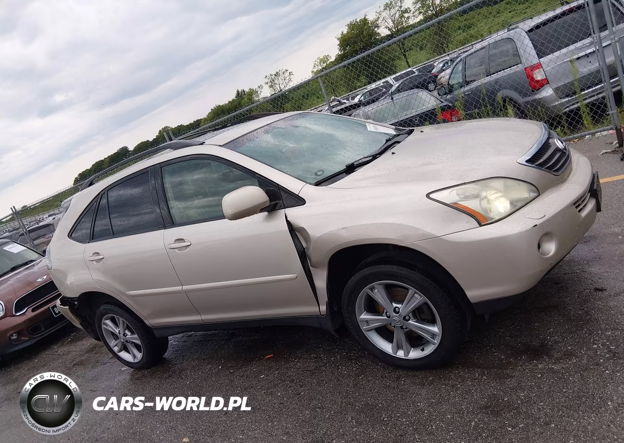 2006 Lexus Rx 400H VIN:JTJHW31U360040339 - 13