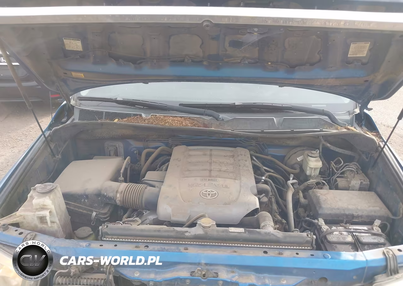 2007 Toyota Tundra Sr5 5.7L V8 VIN:5TFSV54187X004664 - 10