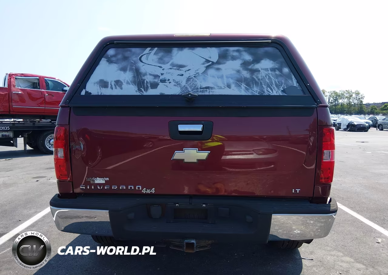 2009 Chevrolet Silverado 1500 Lt VIN:3GCEK23C79G112384 - 16
