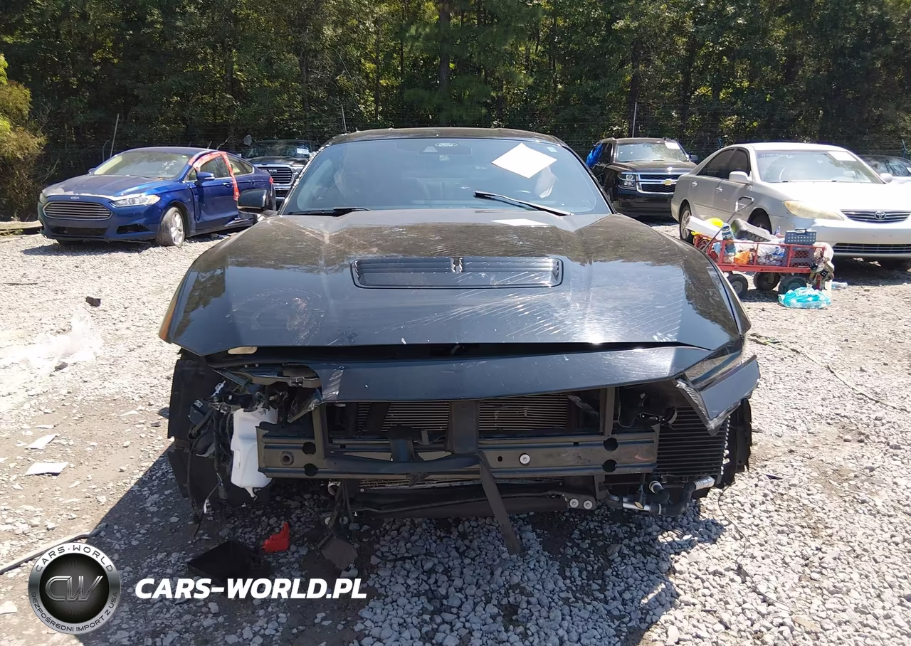 2024 Ford Mustang Gt Premium Fastback VIN:1FA6P8CF7R5401247 - 13