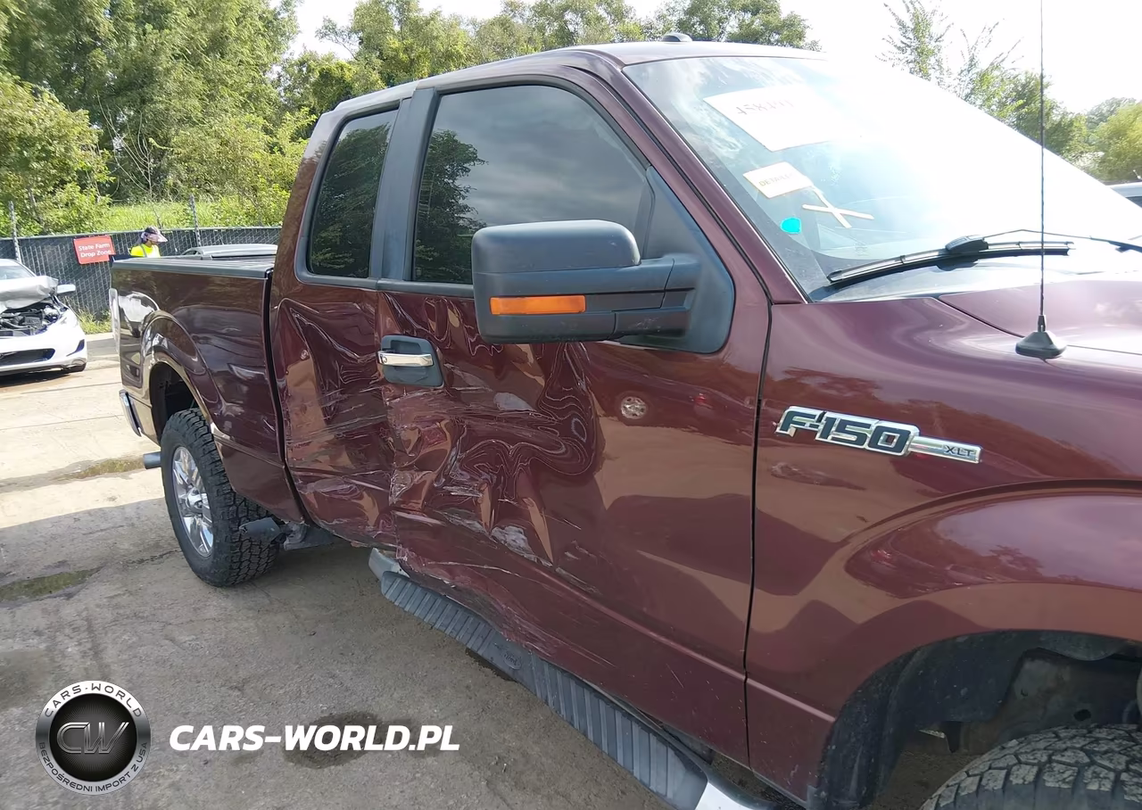 2010 Ford F-150 Stx-Xl-Xlt VIN:1FTEX1E83AFC97298 - 12