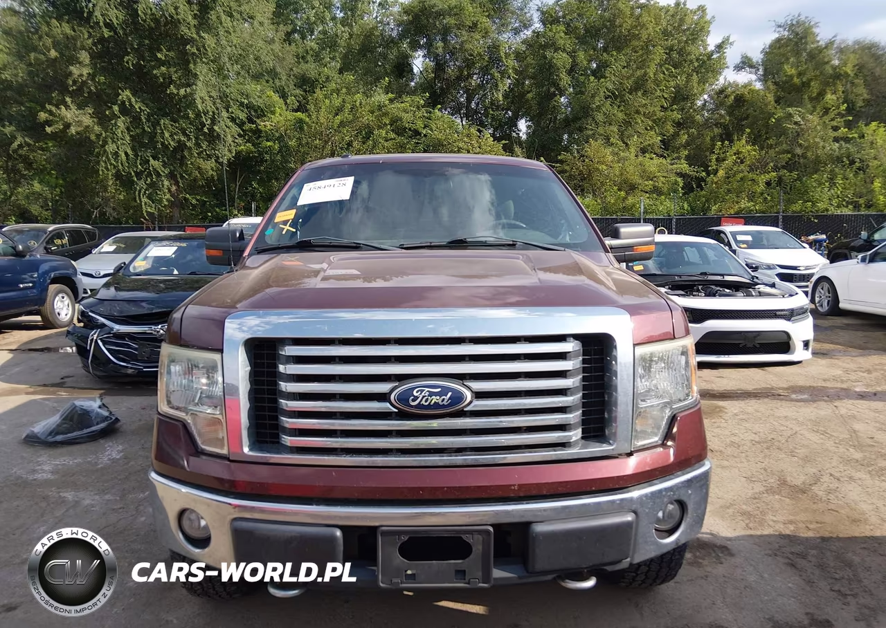 2010 Ford F-150 Stx-Xl-Xlt VIN:1FTEX1E83AFC97298 - 13