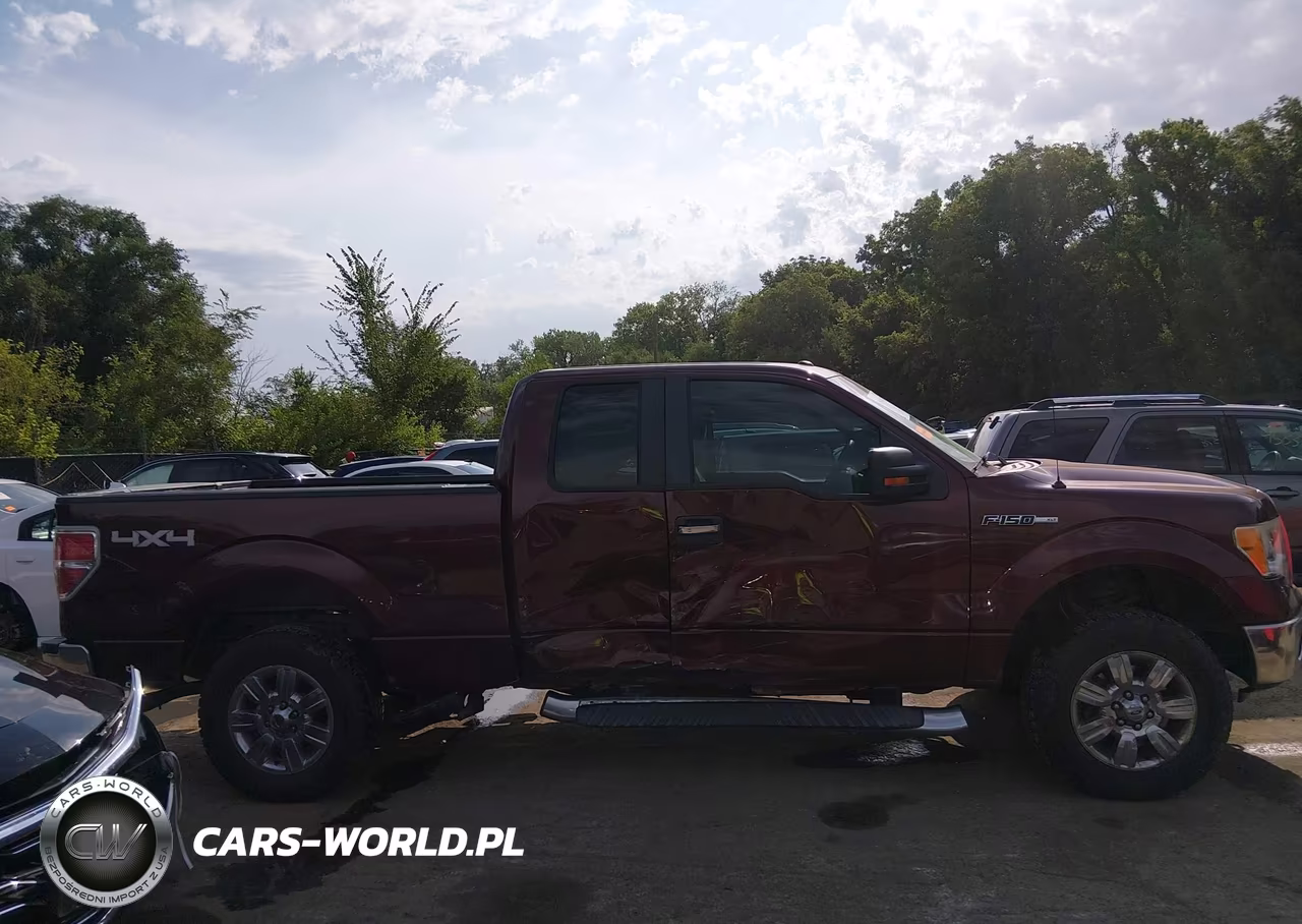 2010 Ford F-150 Stx-Xl-Xlt VIN:1FTEX1E83AFC97298 - 14
