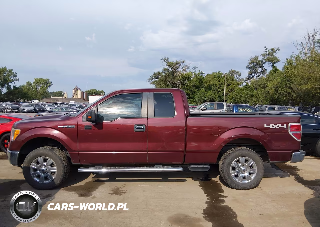 2010 Ford F-150 Stx-Xl-Xlt VIN:1FTEX1E83AFC97298 - 15