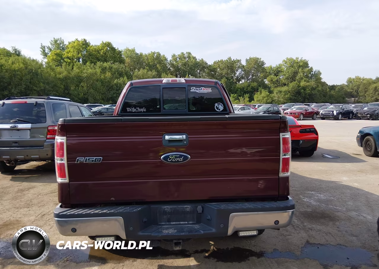2010 Ford F-150 Stx-Xl-Xlt VIN:1FTEX1E83AFC97298 - 17