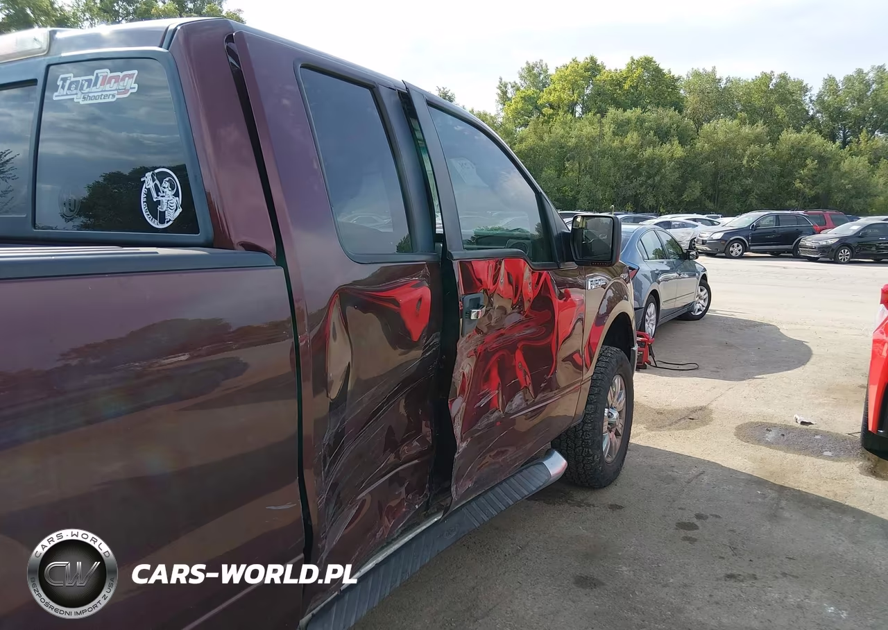 2010 Ford F-150 Stx-Xl-Xlt VIN:1FTEX1E83AFC97298 - 18