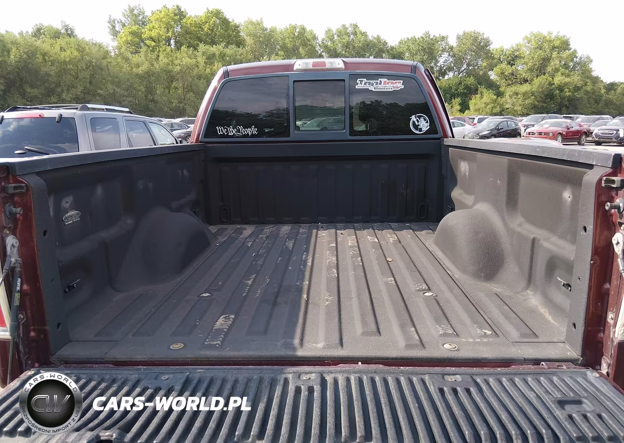 2010 Ford F-150 Stx-Xl-Xlt VIN:1FTEX1E83AFC97298 - 19