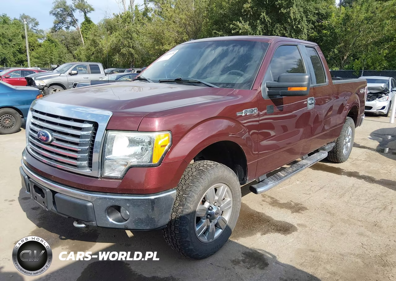 2010 Ford F-150 Stx-Xl-Xlt VIN:1FTEX1E83AFC97298 - 2