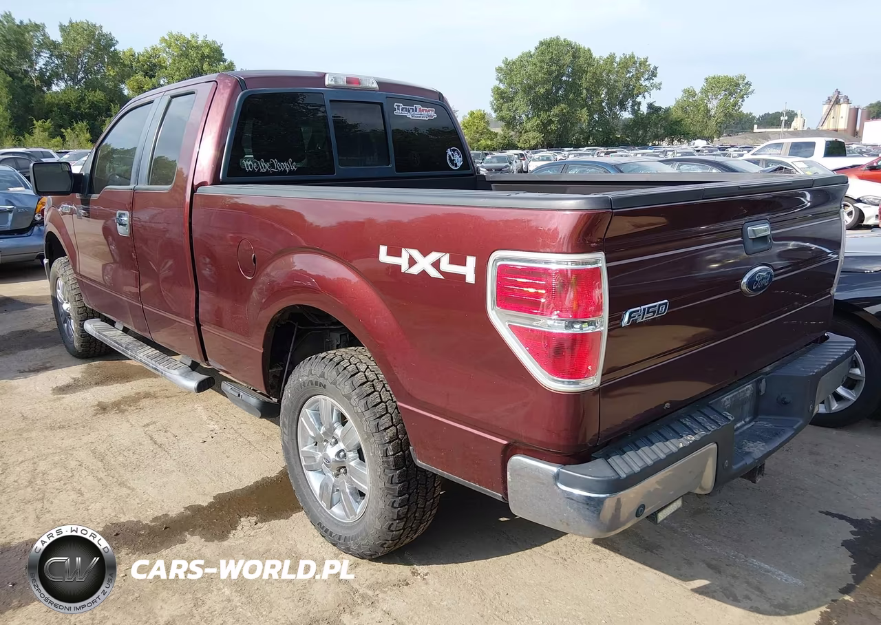 2010 Ford F-150 Stx-Xl-Xlt VIN:1FTEX1E83AFC97298 - 3